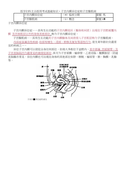 医学妇科主治医师考试基础知识-子宫内膜异位症和子宫腺肌病