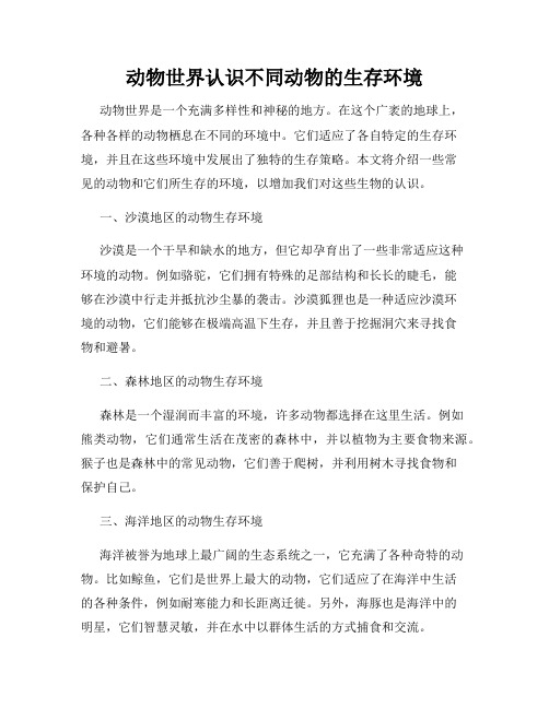 动物世界认识不同动物的生存环境