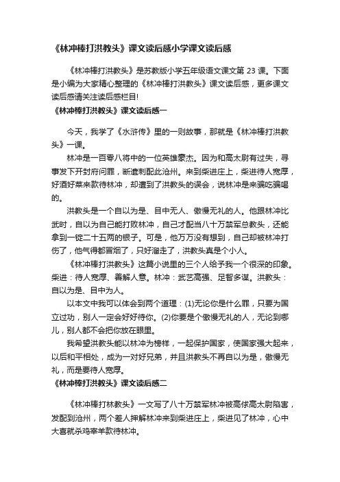 《林冲棒打洪教头》课文读后感小学课文读后感