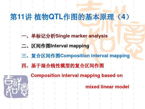 线性模型作图法