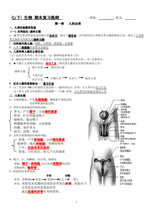 人教版生物七年级下学期期中复习 第一至四章复习提纲