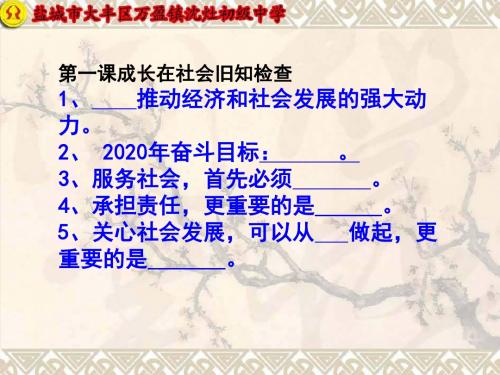 苏人版思想品德九年级课件2.1 中华文化博大精深 (共34张PPT)