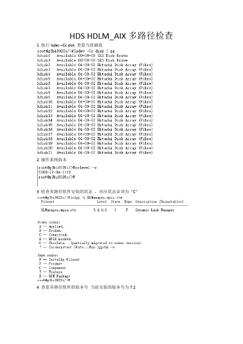 HDS HDLM多路径检查