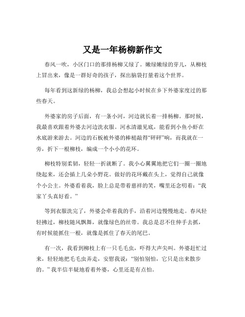 又是一年杨柳新作文