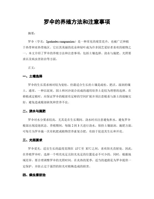 罗伞的养殖方法和注意事项