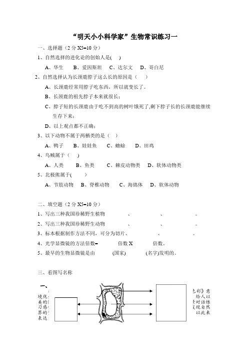 “明天小小科学家”生物笔试题目