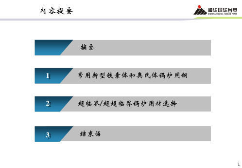 超超临界机组锅炉选材分析