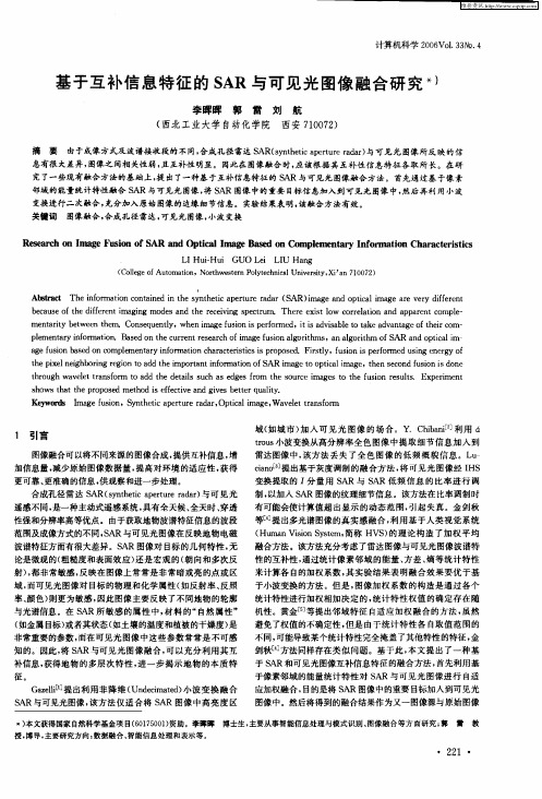 基于互补信息特征的SAR与可见光图像融合研究