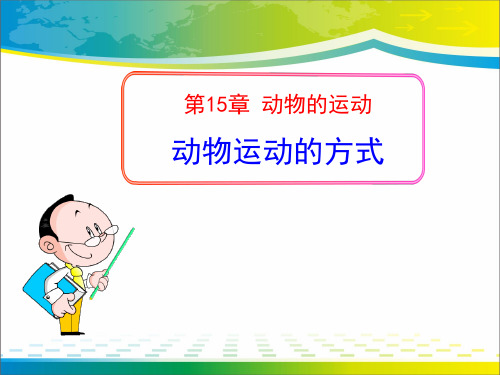 《动物运动的方式》PPT【完美版课件】