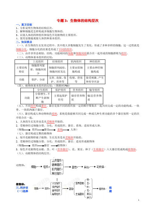 七年级生物上册专题复习三生物体的结构层次讲练指导(含解析)北师大版