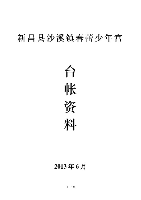 沙溪镇春蕾乡村学校少年宫台帐资料