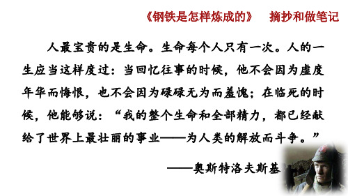 八年级(下)语文教学课件：名著导读 《钢铁是怎样炼成的》  摘抄和做笔记