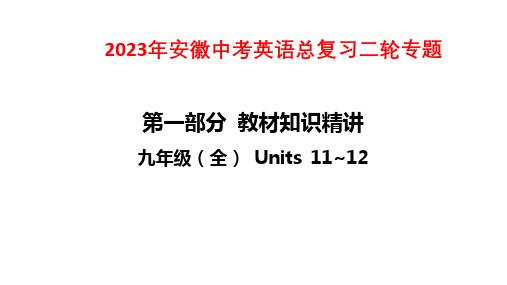 2023年安徽中考英语总复习二轮专题课件：九年级(全) Units 11~12