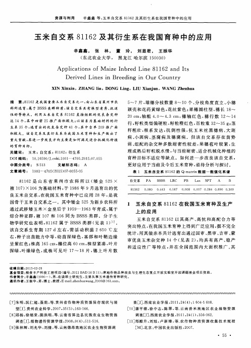 玉米自交系81162及其衍生系在我国育种中的应用