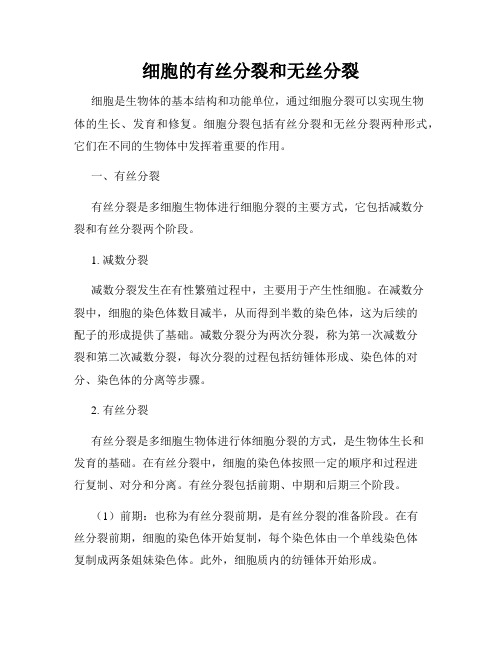 细胞的有丝分裂和无丝分裂