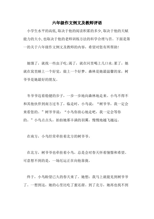 六年级作文例文及教师评语