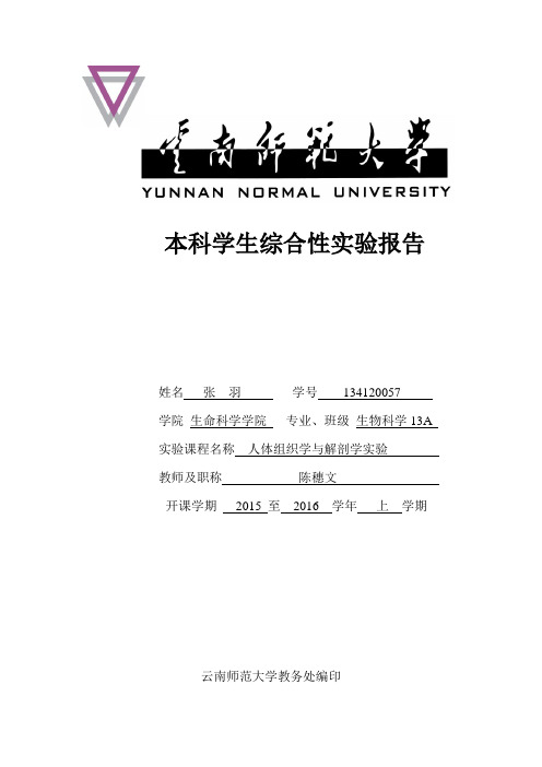 人体组织学与解剖学综合性实验报告分析