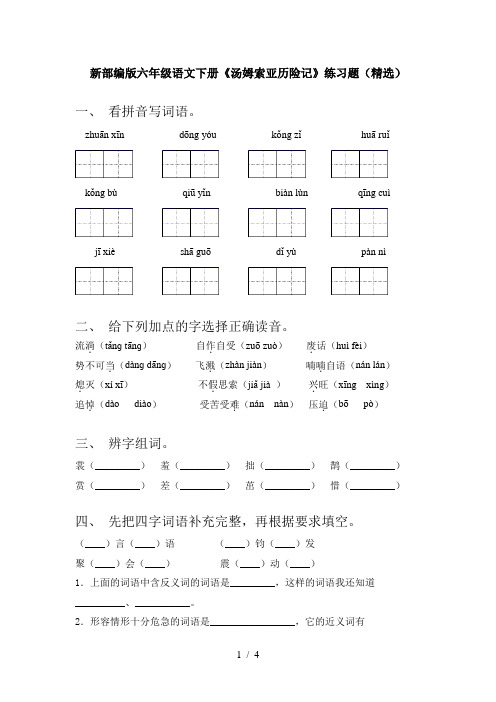 新部编版六年级语文下册《汤姆索亚历险记》练习题(精选)