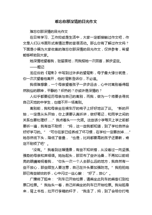 难忘你那深情的目光作文