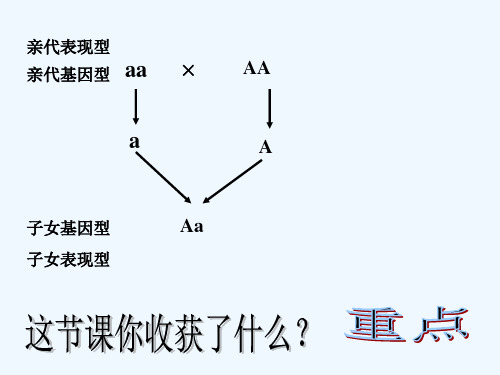 性状的遗传 PPT课件