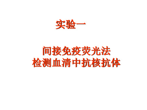 间接免疫荧光法检测血清中抗核抗体PPT教案课件(临床免疫学)