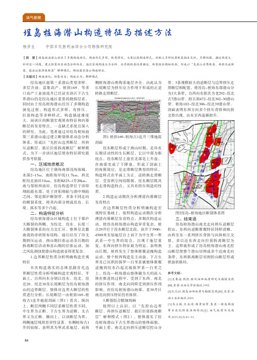 埕岛桩海潜山构造特征与描述方法