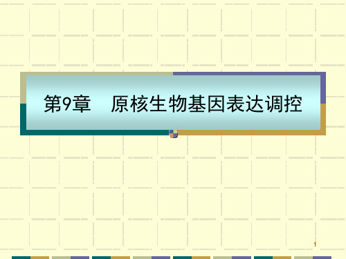 分子生物学课件 第9章 原核生物基因调控