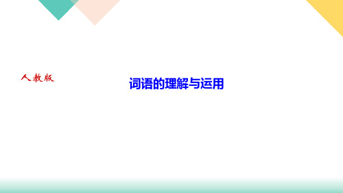 期末专题复习词语的理解与运用PPT—九年级语文(下册)部编版