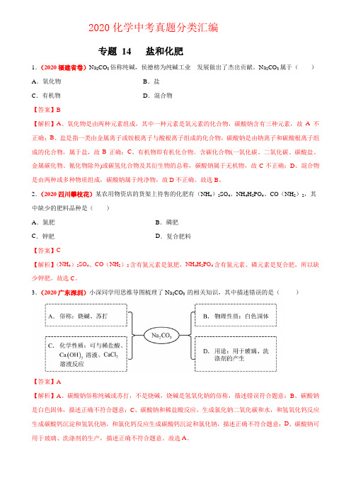 专题 14  盐和化肥(解析版)