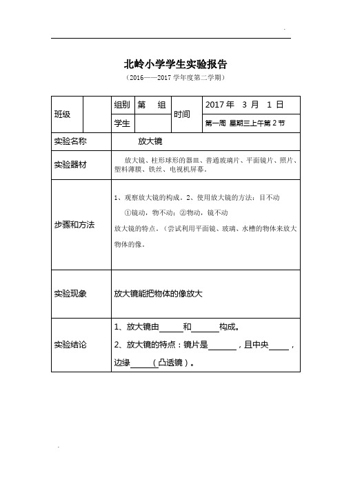 六年级下册科学实验报告单