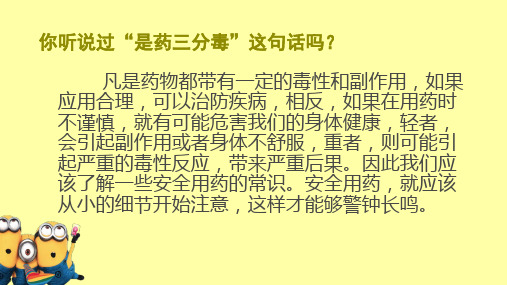 安全合理用药小常识ppt课件