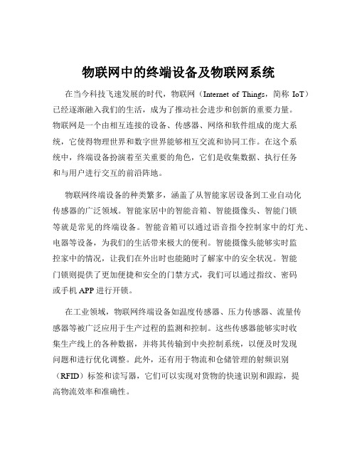 物联网中的终端设备及物联网系统