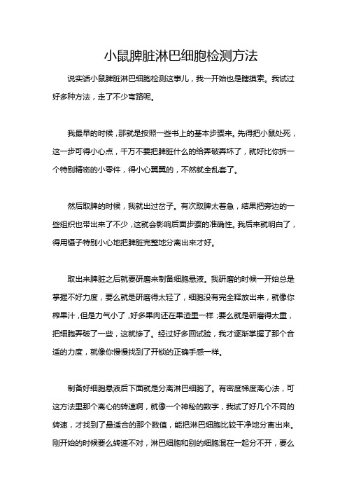 小鼠脾脏淋巴细胞检测方法