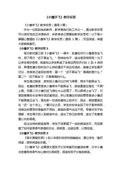 《小鹰学飞》教学反思