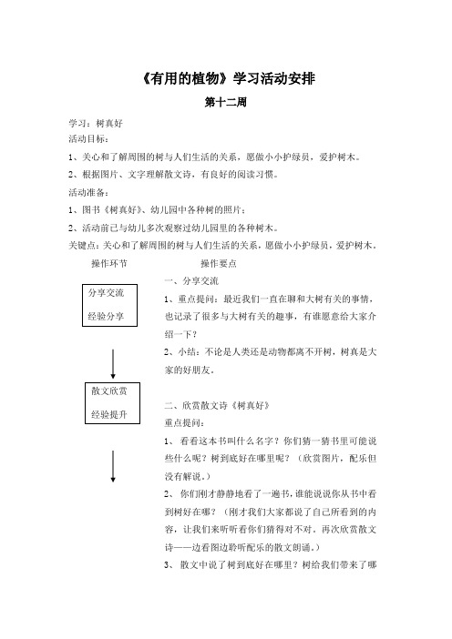 大班《有用的植物》学习活动汇总