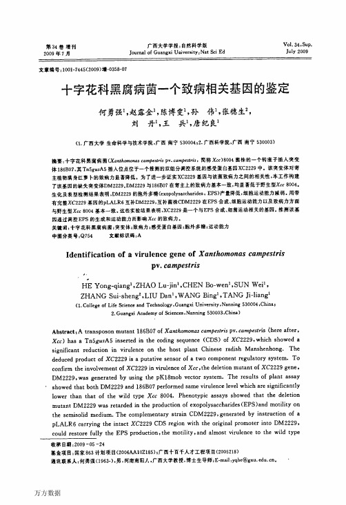 十字花科黑腐病菌一个致病相关基因的鉴定