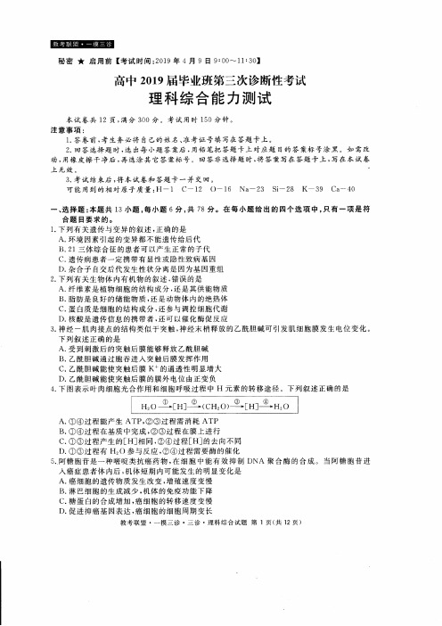 四川省教考联盟2019届高三第三次诊断性考试理科综合试题(含答案)