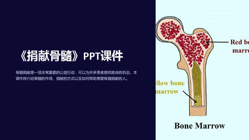 《捐献骨髓》课件