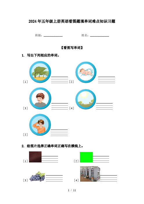 2024年五年级上册英语看图题填单词难点知识习题