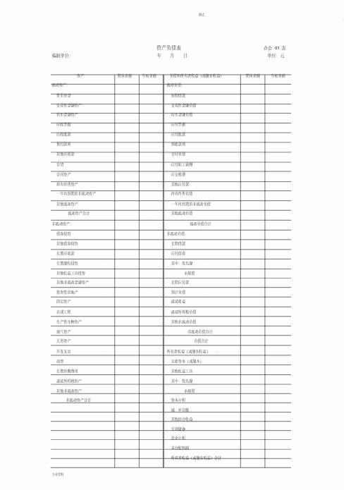 2019年最新资产负债表(样表)