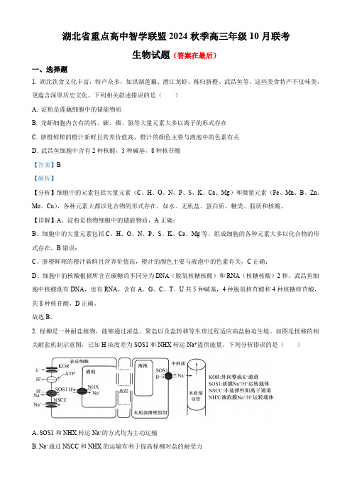 湖北省重点高中智学联盟2024—2025学年高三上学期10月联考生物试题含答案