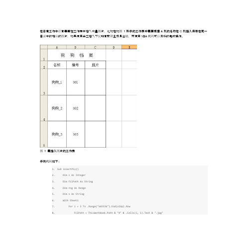 Excel VBA实例教程 #058：工作表中自动插入图片