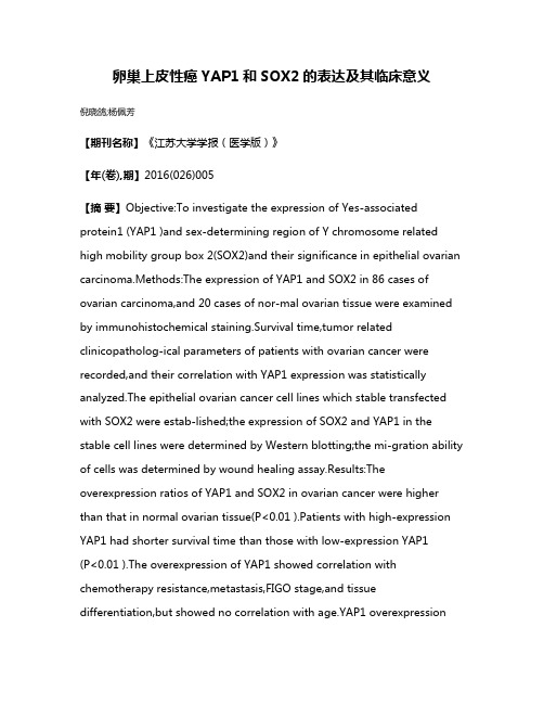 卵巢上皮性癌YAP1和SOX2的表达及其临床意义