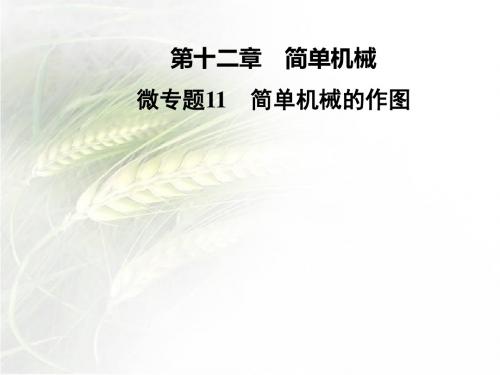 人教版八年级物理下册第十二章微专题11 简单机械的作图