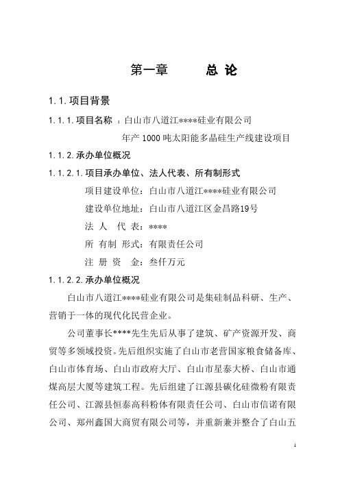 年产1000吨太阳能多晶硅生产线建设项目可行性研究报告