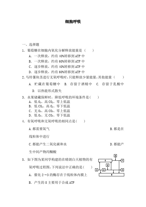 高一生物细胞呼吸检测试题36