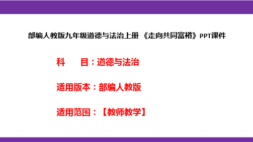 部编人教版九年级道德与法治上册《走向共同富裕》PPT课件