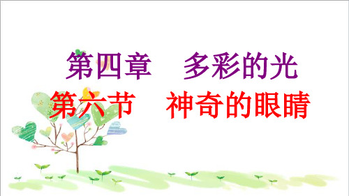 初中物理八年级上册《4第6节 神奇的眼睛》PPT课件 (6)