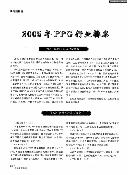 2005年PPG行业排名