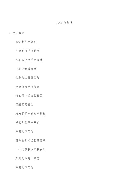小沈阳歌词